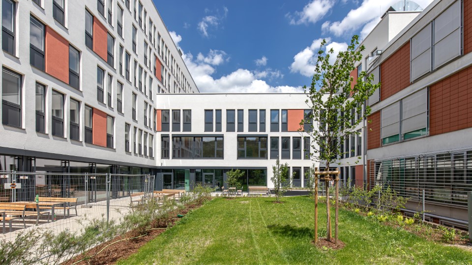 API (c) Franz Schreiner