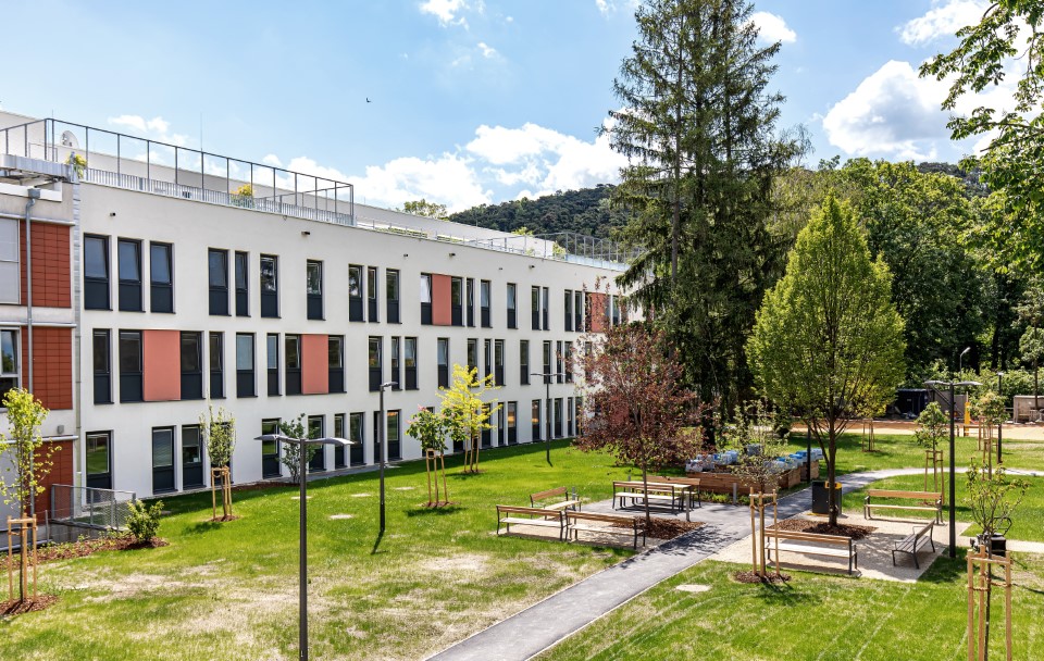 API (c) Franz Schreiner (3)